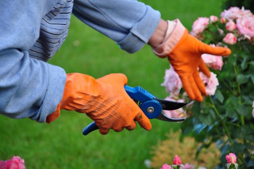 Detailed garden planning with native Sydenham plants