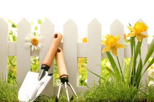 Expert pruning and trimming in Sydenham