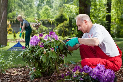 Gardeners providing a free quote on site in Sydenham