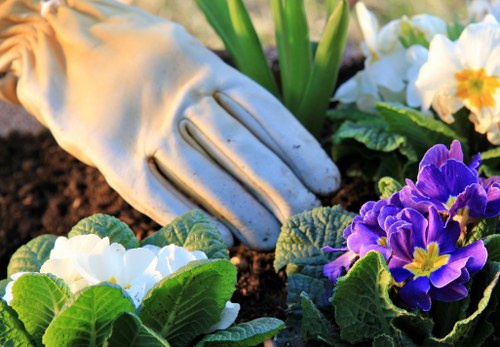 Garden debris removal and pruning in Sydenham