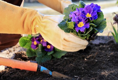Professional gardeners working in a Sydenham garden