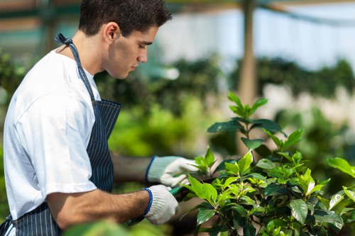 Benefits of professional garden clearance