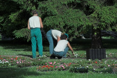 The image depicts three individuals working together in a well-maintained garden, possibly in a residential outdoor space. They are positioned near a large, dense evergreen tree with dark green foliage, which provides shade over the garden bed below. Two of the individuals are crouching or kneeling on the grass, actively tending to flower beds that contain small, colorful flowering plants, including shades of pink, red, and white. The third person is standing, observing or assisting the others. The garden features a neatly edged lawn with rich green grass, and the flower beds are bordered with a subtle planting arrangement. The scene appears peaceful and suggests outdoor maintenance activities, fitting with professional gardening services like those offered by Gardening Services Sydenham. The environment is lush, with natural lighting indicating a bright day, ideal for gardening work, and the scene captures a typical landscaped garden setup in South London, close to Sydenham ZIP code area. The overall setting is tidy and well-organized, emphasizing horticultural care and landscape upkeep in an urban garden context.