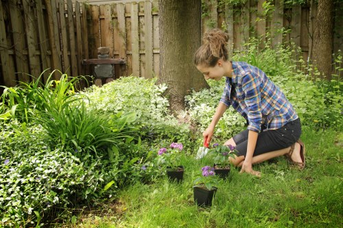 Diverse flora suitable for Sydenham's climate