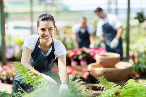 Seasonal garden care tips for Sydenham residents