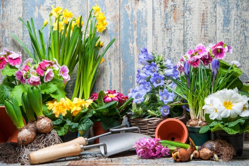 Seasonal planting by Sydenham Gardening Services