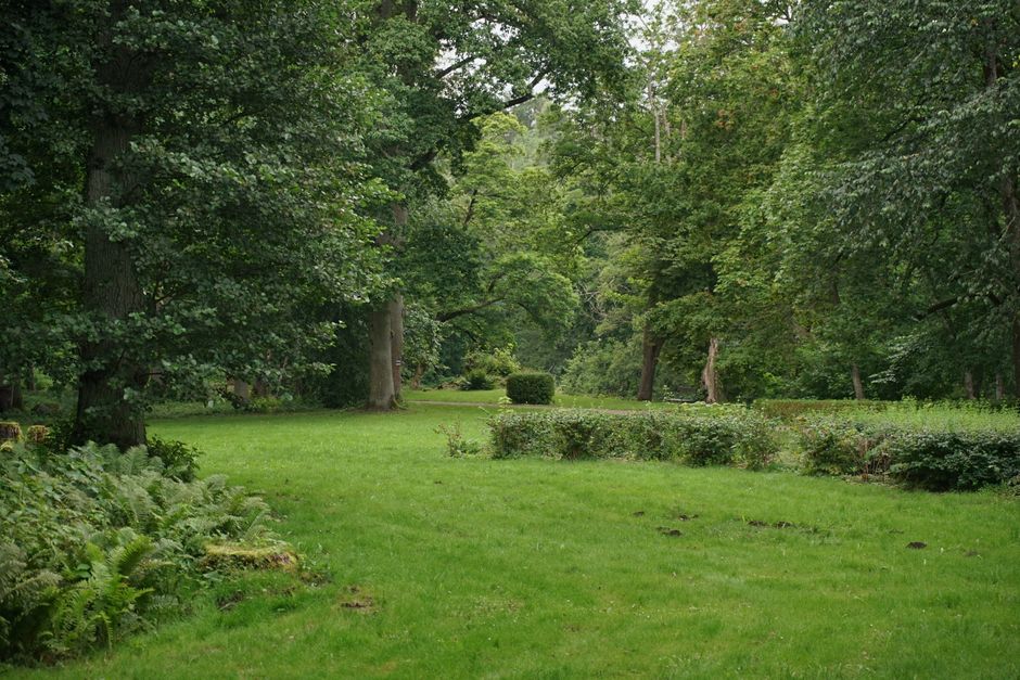 A winding gravel pathway in a well-maintained garden, bordered by lush, trimmed green grass and edged with a narrow white border. On either side of the path, there are dense, neatly pruned bushes and