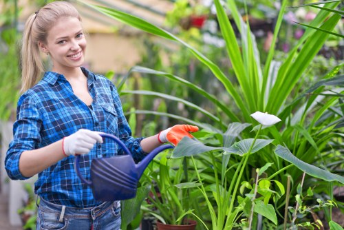 Beautiful garden in Sydenham with professional gardening services