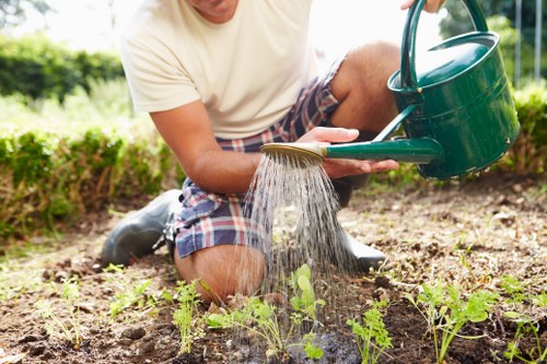 Gardener maintaining a lush garden in Sydenham