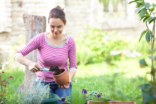 Seasonal planting by Sydenham gardening professionals